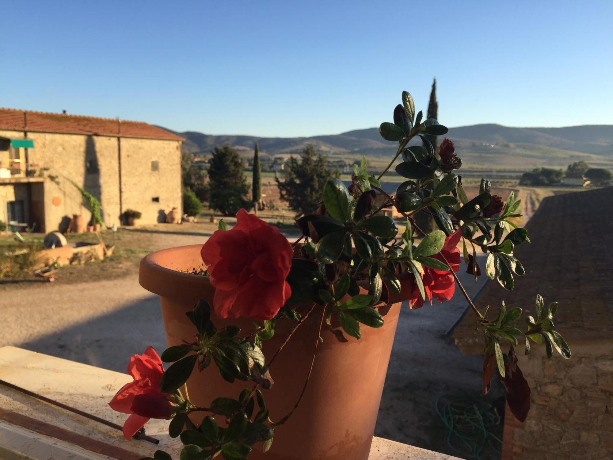 Agriturismo La Valentina Nuova Talamone Exterior foto