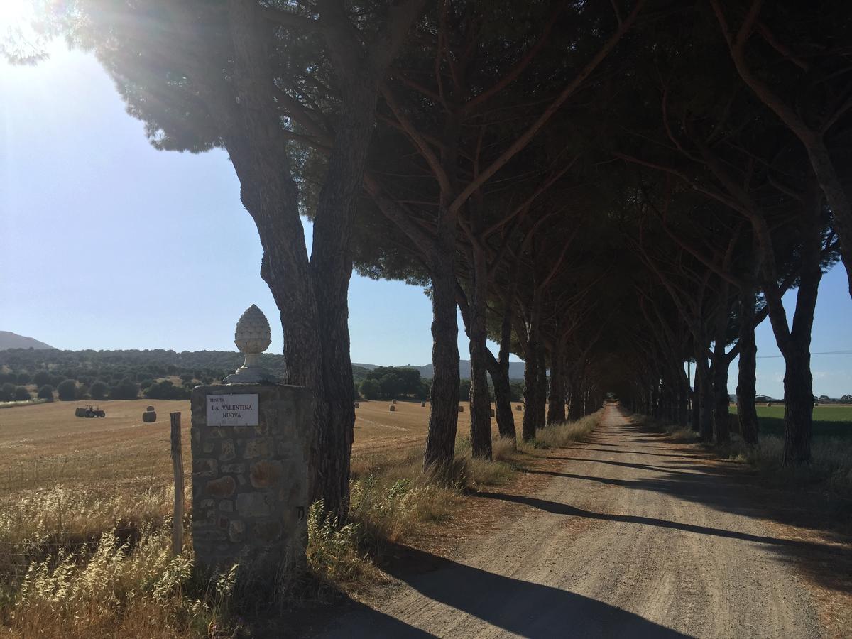 Agriturismo La Valentina Nuova Talamone Exterior foto